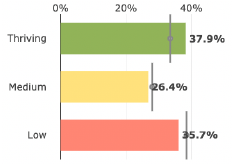 Sample of Well-Being Index chart